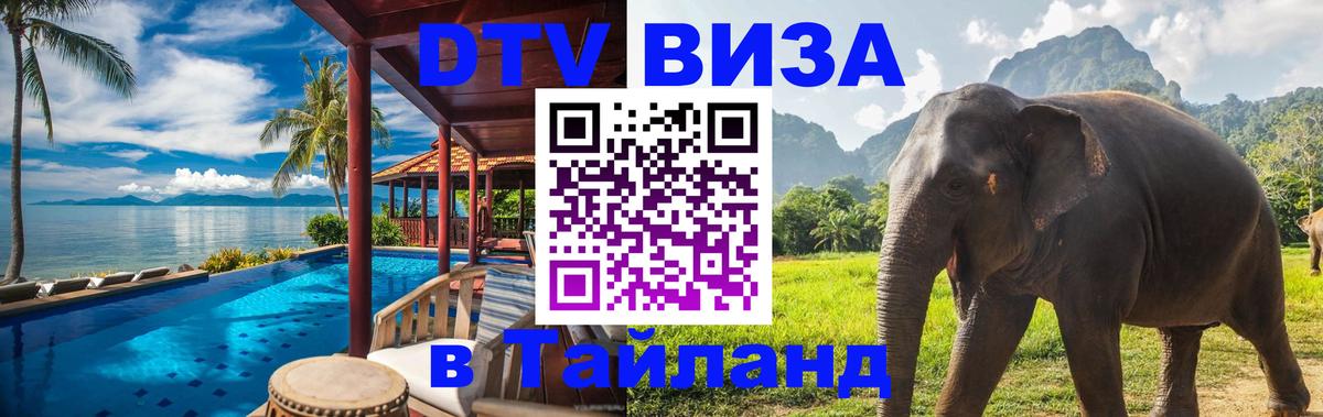 Оформление DTV визы под ключ: стоимость и тарифы, только загранпаспорт - Сургут 